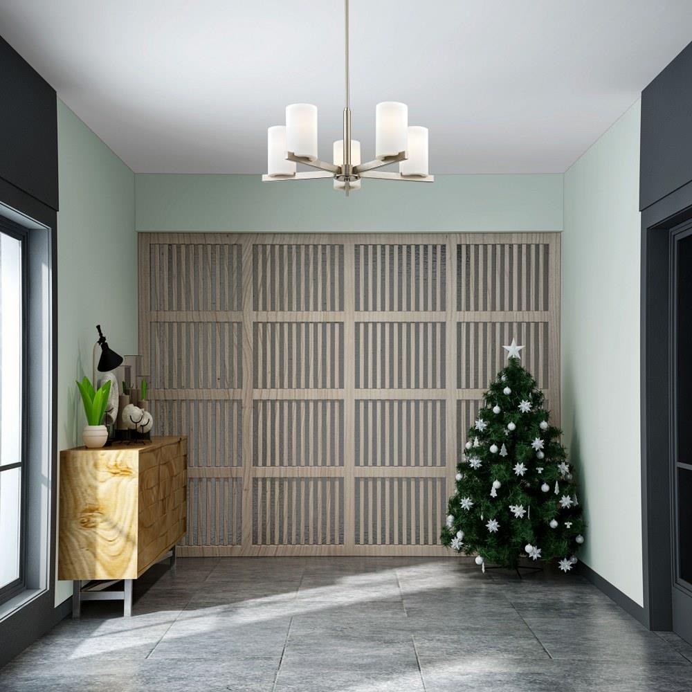 218-BEL-1119512
