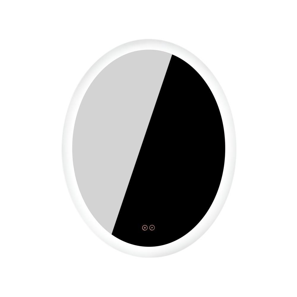 MIR101-W