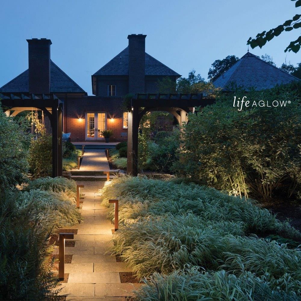 10231DMG