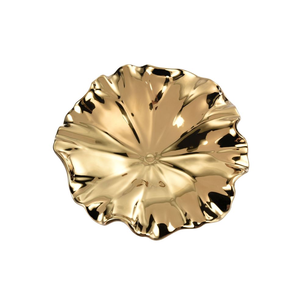 WA11119-01S