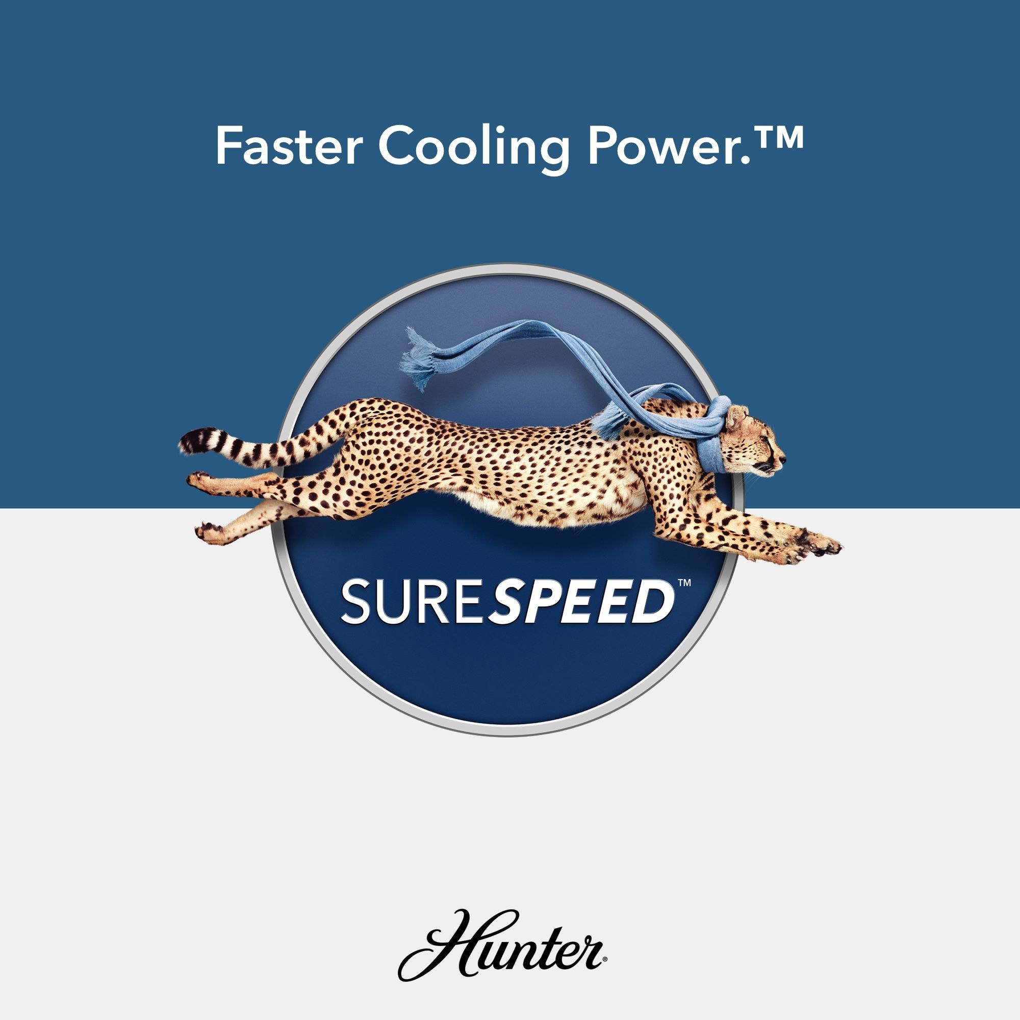 51581