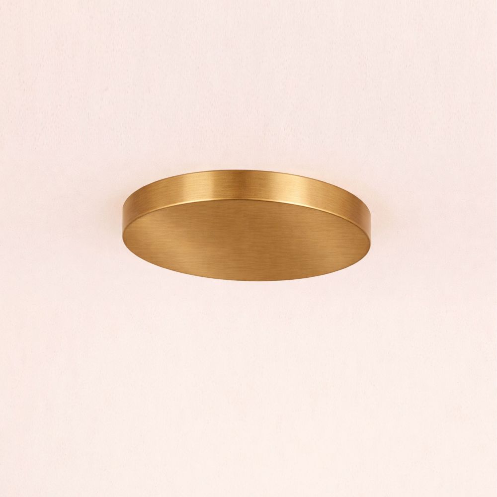 ACR-9733-OPAL-BRSS