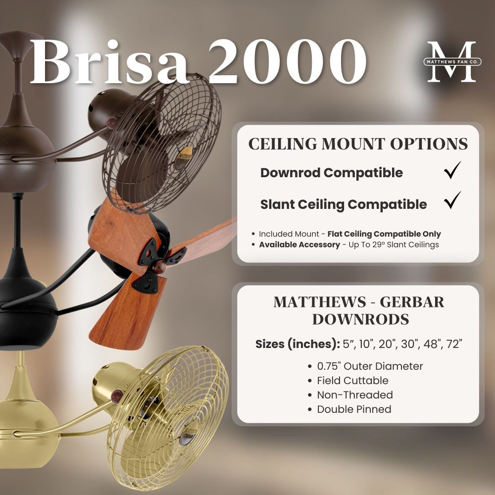 176-BEL-1017043