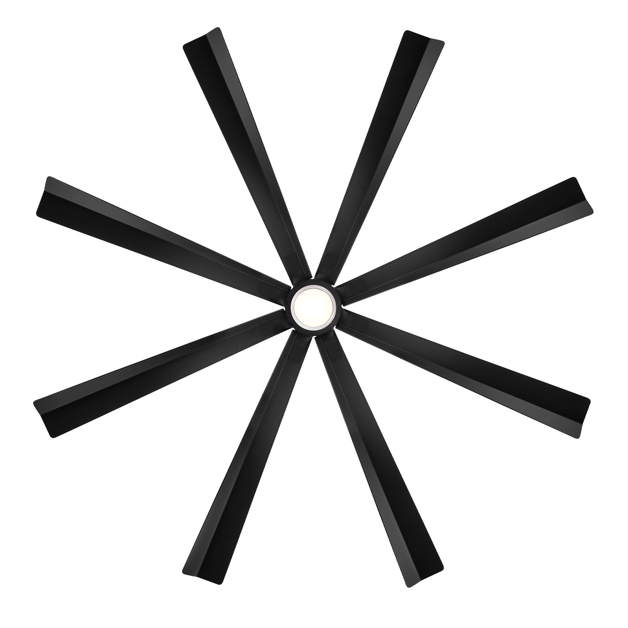 465-BEL-5240818