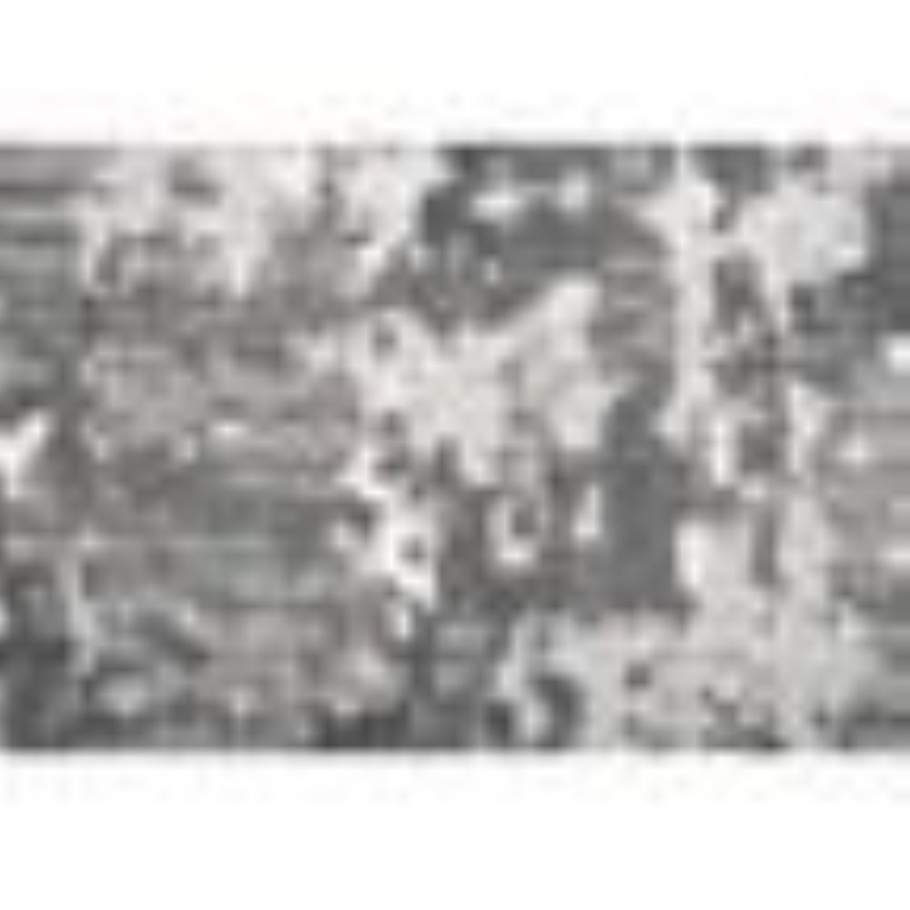 RARI-17276-810