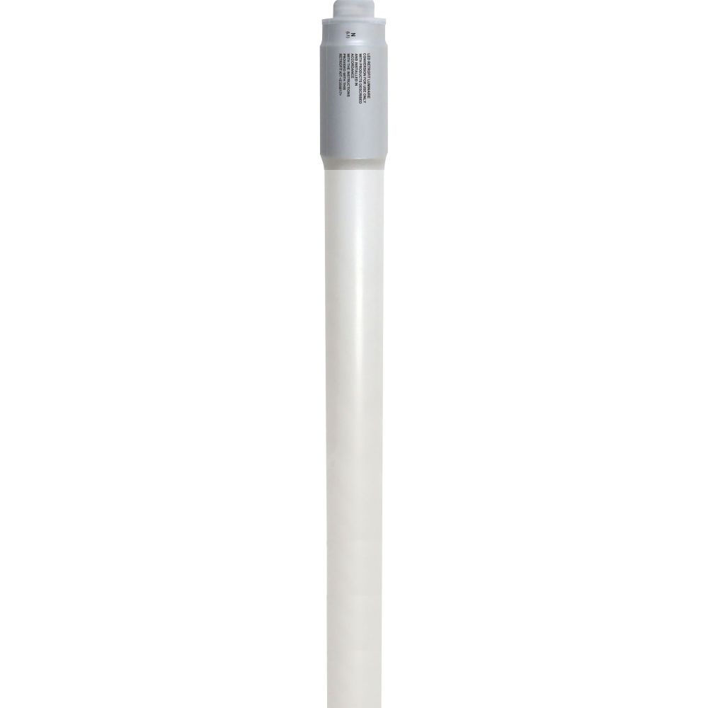 S11966