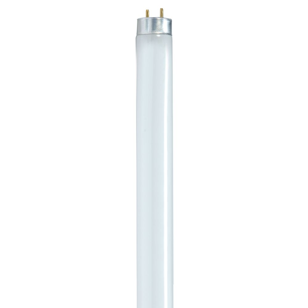 S8441
