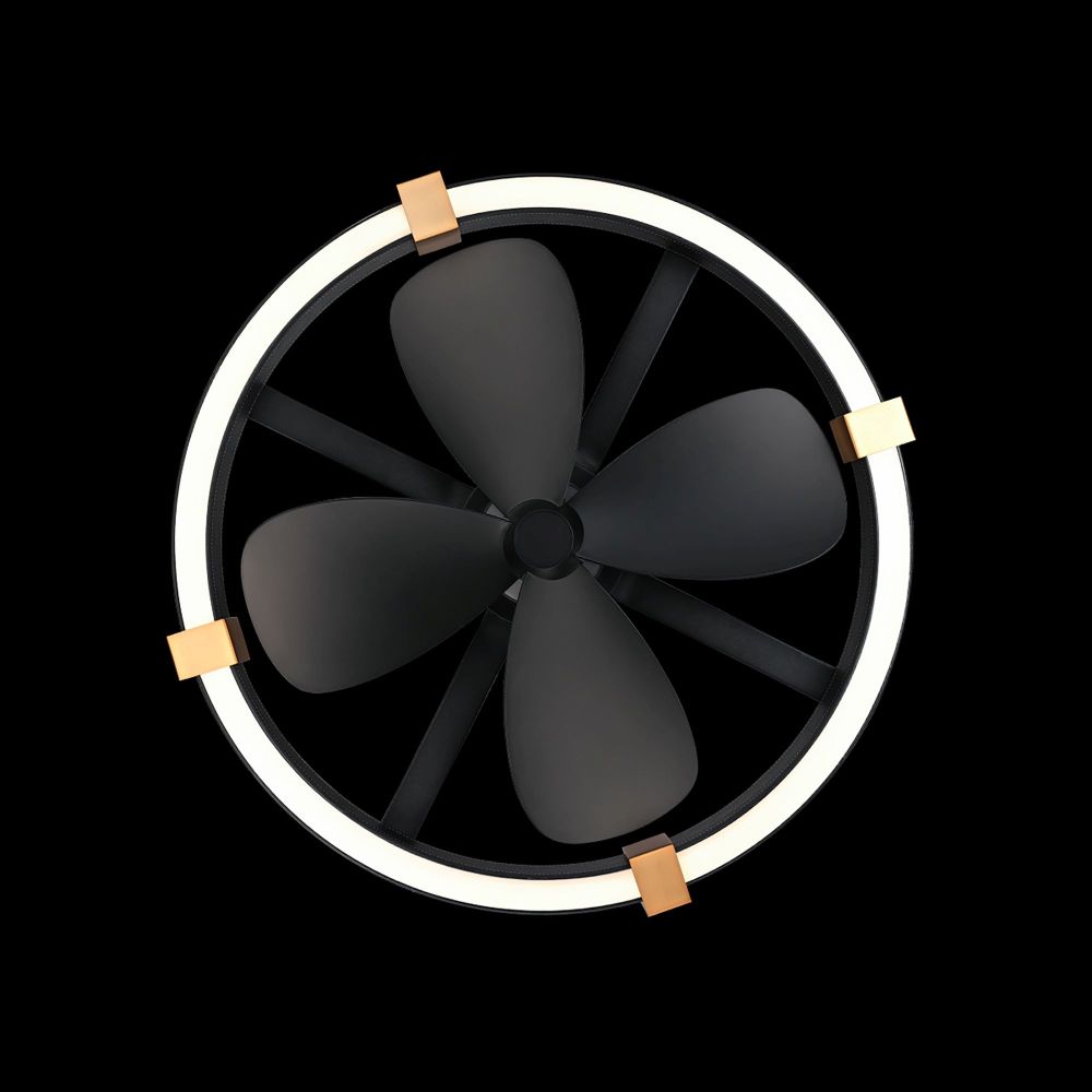 BFR45428-BK/AB