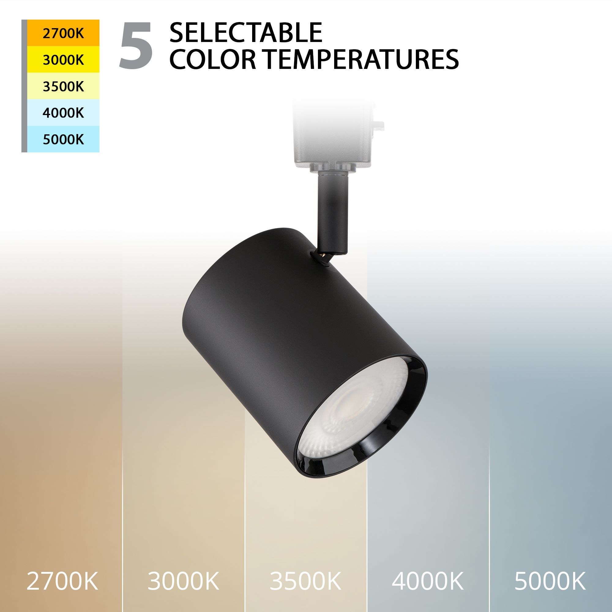 J-8010-CS-BK