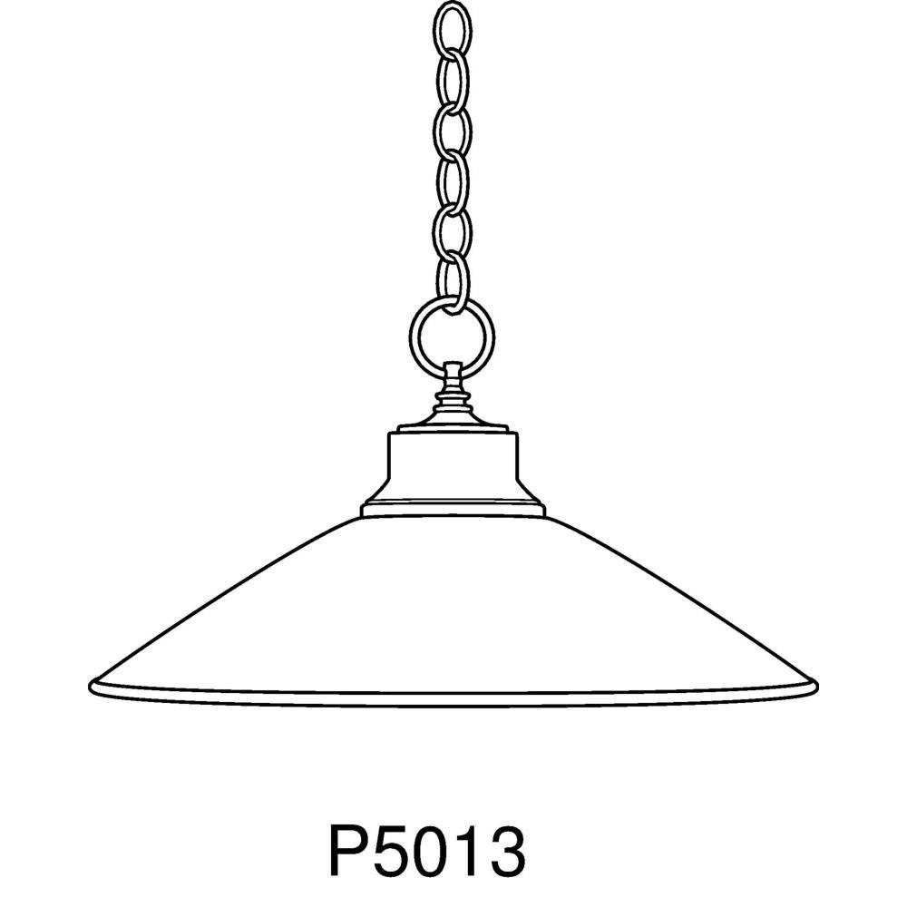 P5013-09