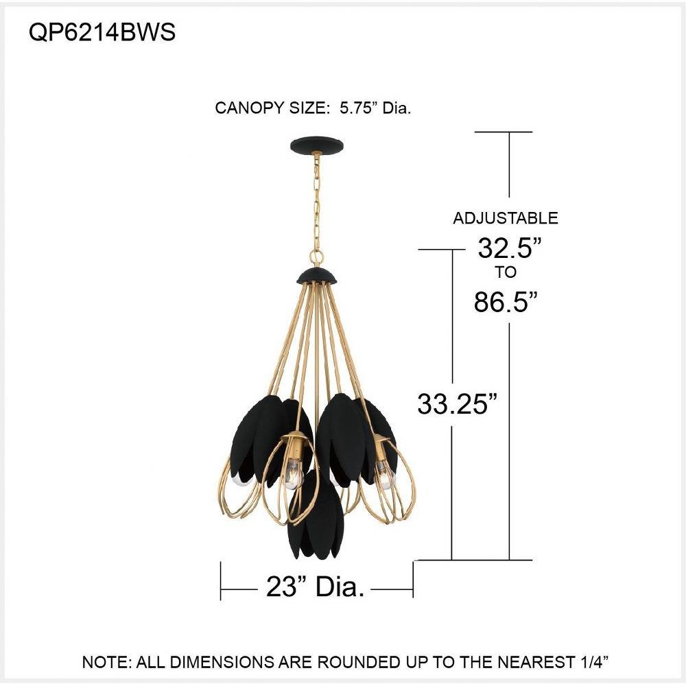 QP6214BWS
