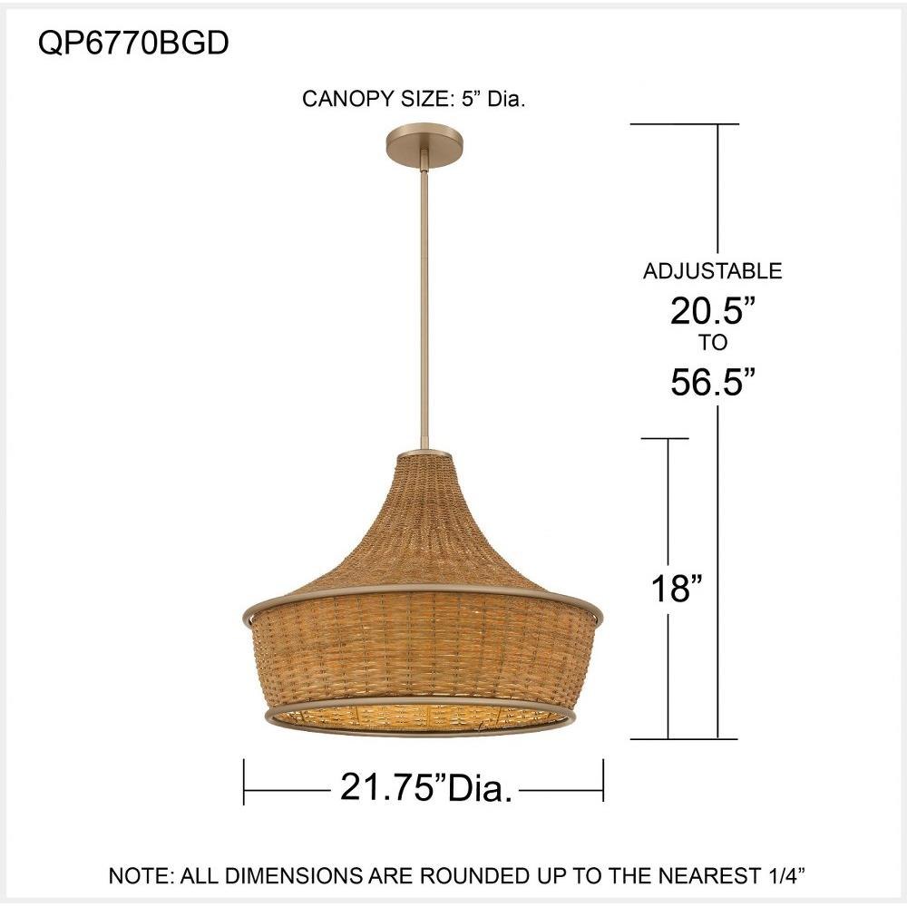 QP6770BGD