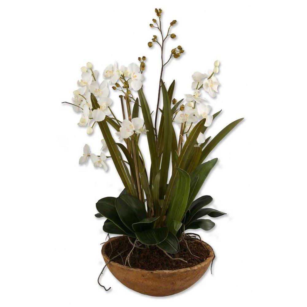 60039